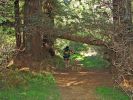 Berry Flat Trail